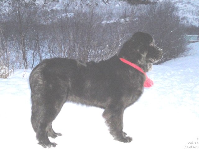 Фотография № 84090