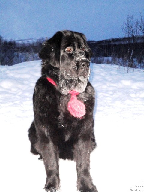 Фотография № 84091