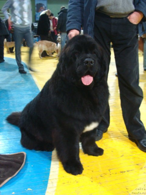 Фотография № 84137