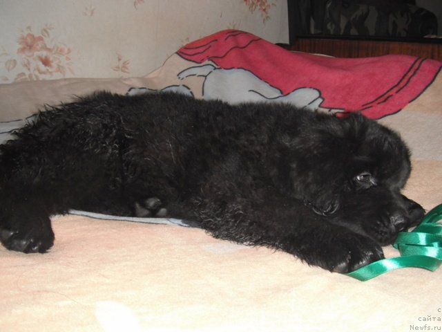 Фотография № 84164