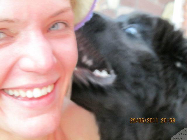 Фотография № 84165