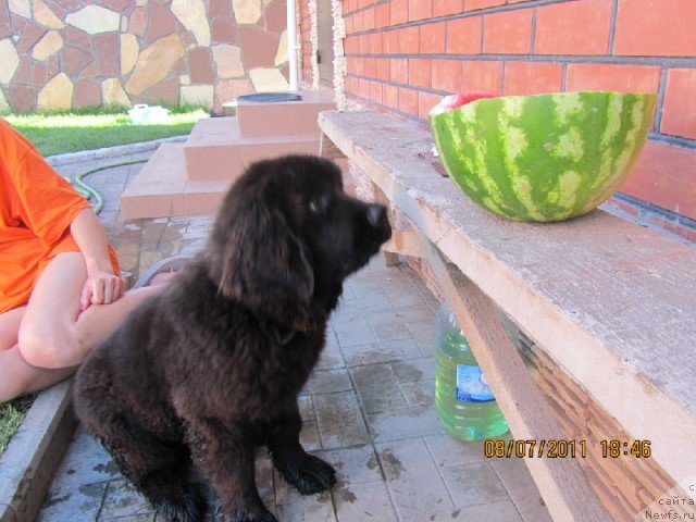 Фотография № 84170