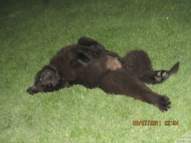 Фотография № 84173