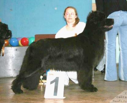 Фотография № 842