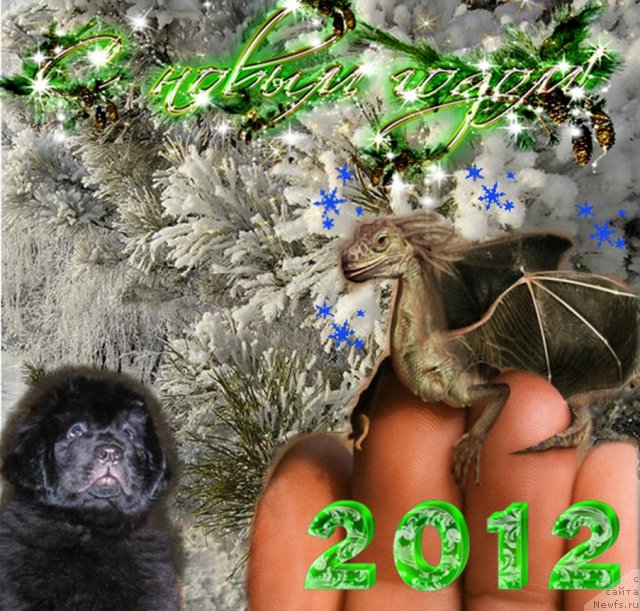 Фотография № 84209