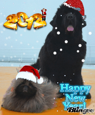 Фотография № 84257