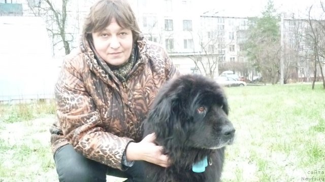 Фотография № 84260