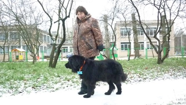 Фотография № 84261