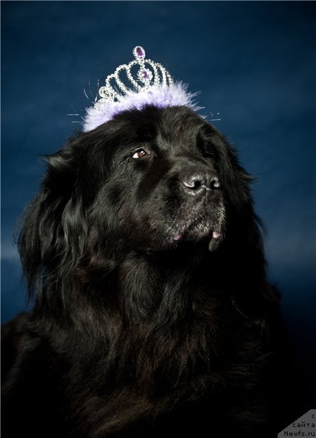 Фотография № 84262