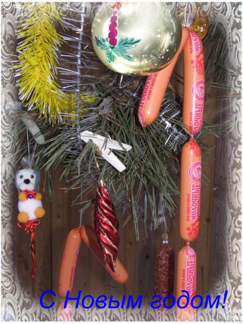 Фотография № 84269