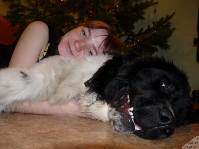 Фотография № 84284