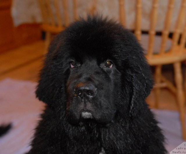 Фотография № 84293