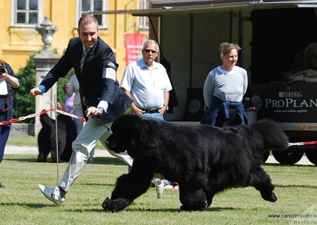 Фотография № 84296