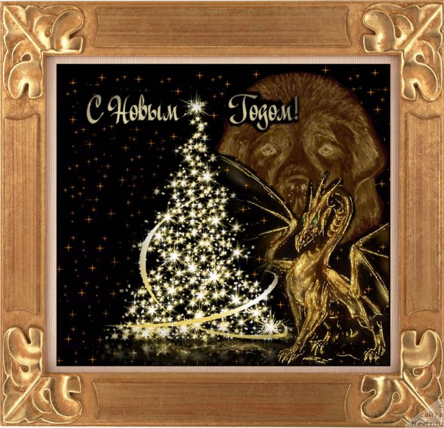 Фотография № 84325