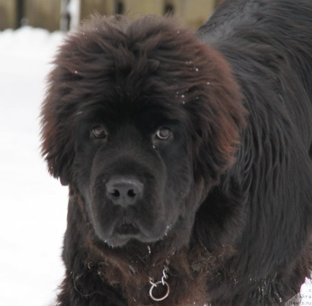 Фотография № 84352