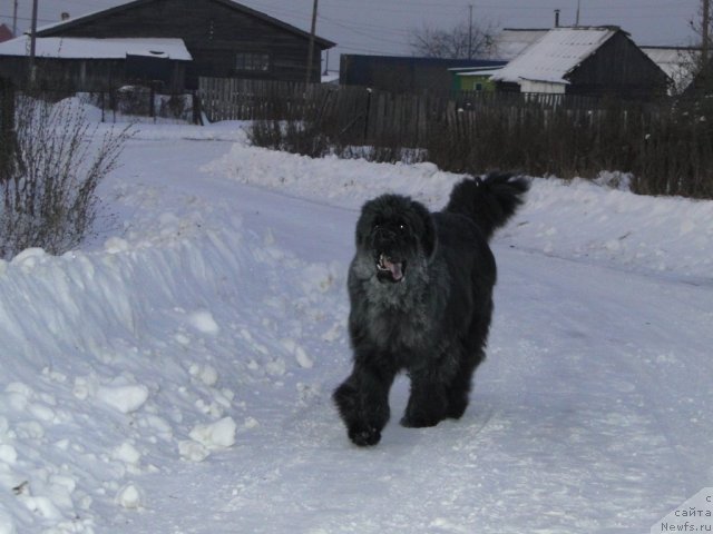 Фотография № 84381