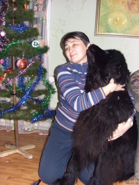 Фотография № 84443