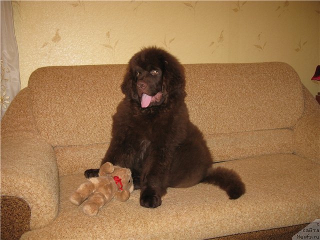 Фотография № 84444