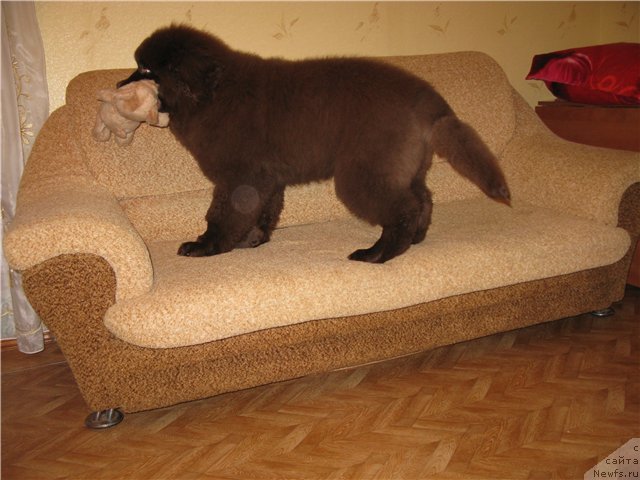 Фотография № 84446