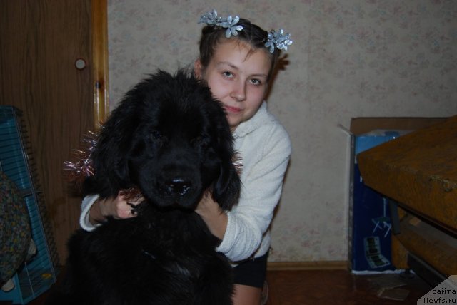 Фотография № 84468