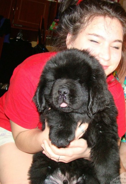 Фотография № 84482