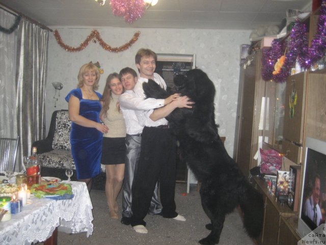 Фотография № 84494