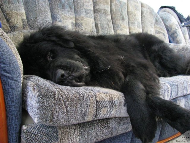 Фотография № 84498