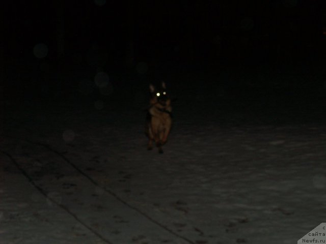 Фотография № 84531