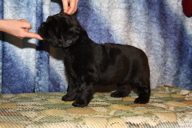 Фото: Розовая девочка