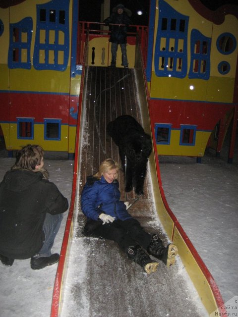 Фотография № 84617