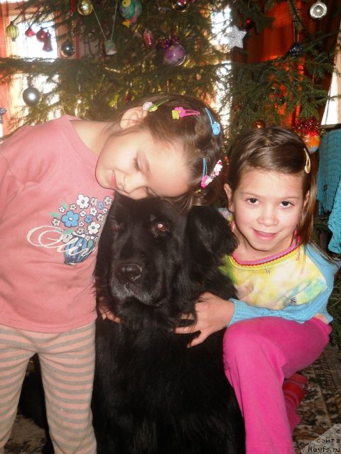 Фотография № 84647