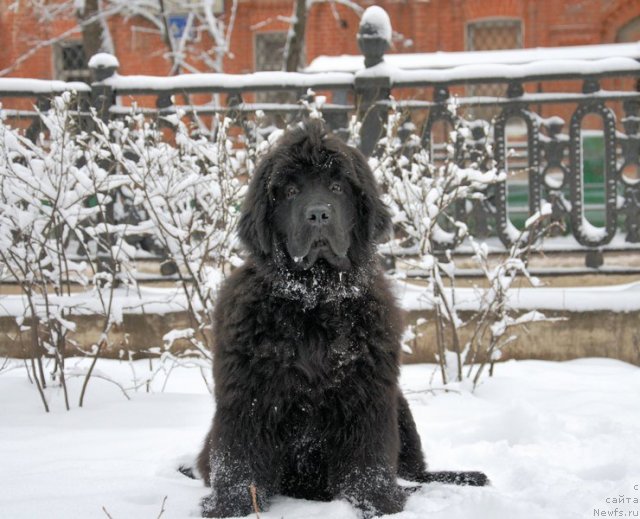 Фотография № 84697