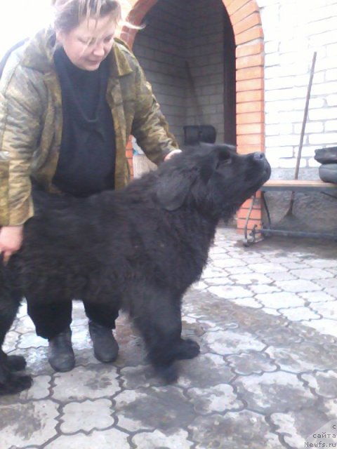 Фотография № 84705