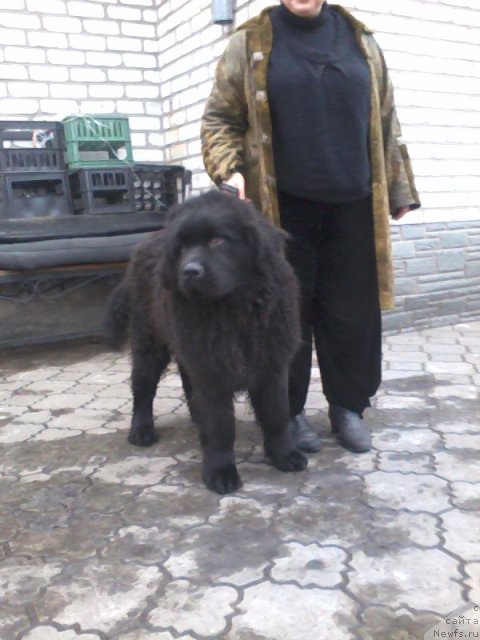 Фотография № 84706