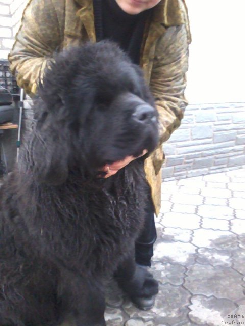 Фотография № 84708