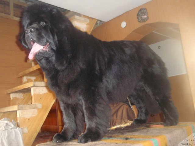 Фотография № 84723