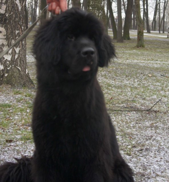 Фотография № 84746