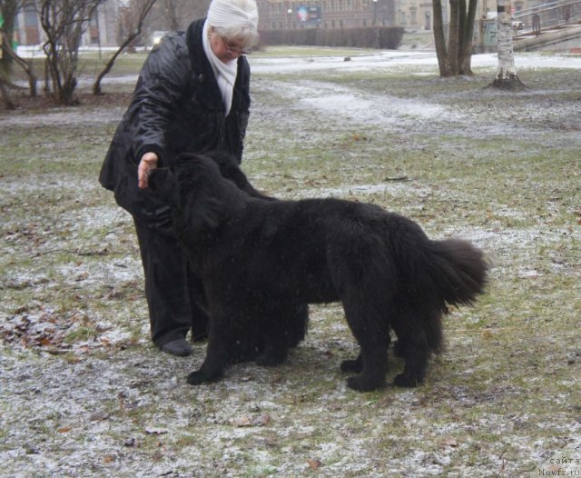 Фотография № 84747