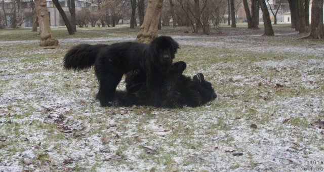 Фотография № 84749