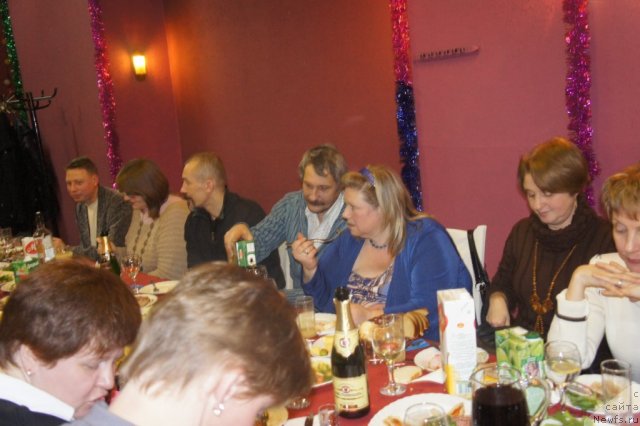 Фотография № 84753