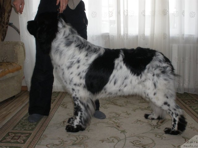 Фотография № 84789