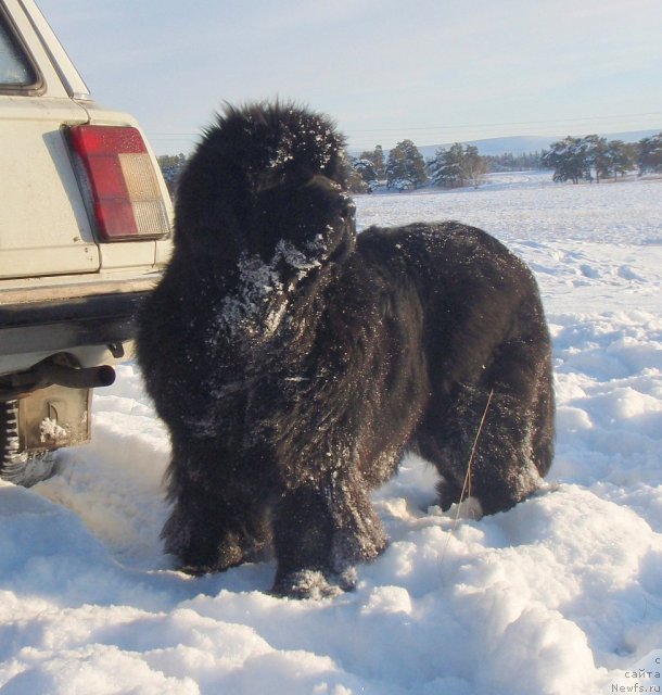 Фотография № 84792