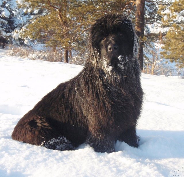 Фотография № 84796