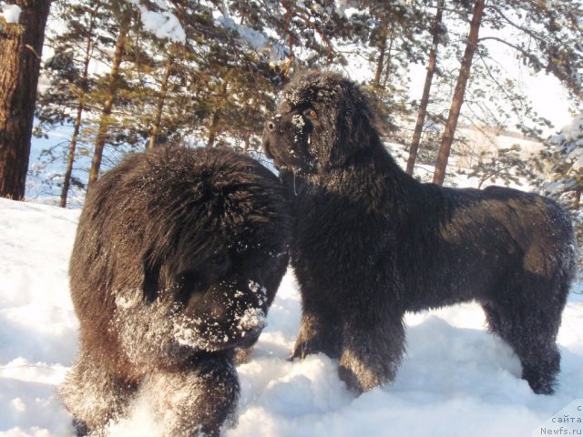 Фотография № 84797