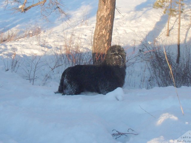 Фотография № 84798