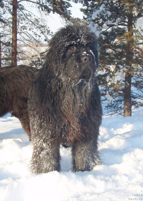 Фотография № 84800