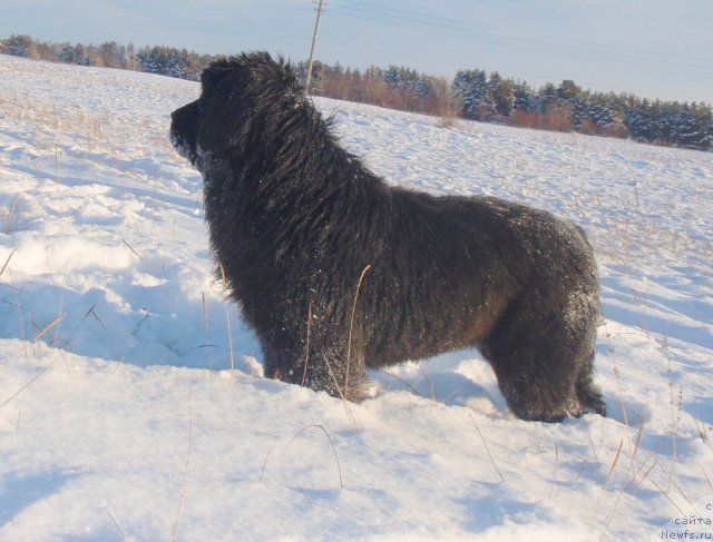 Фотография № 84801