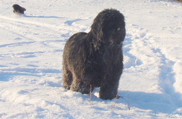 Фотография № 84802