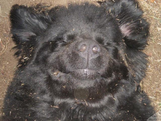 Фотография № 8481