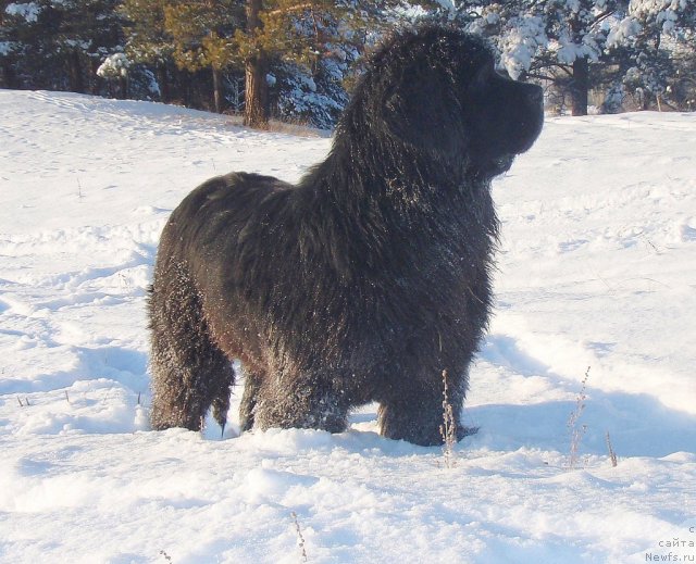 Фотография № 84855